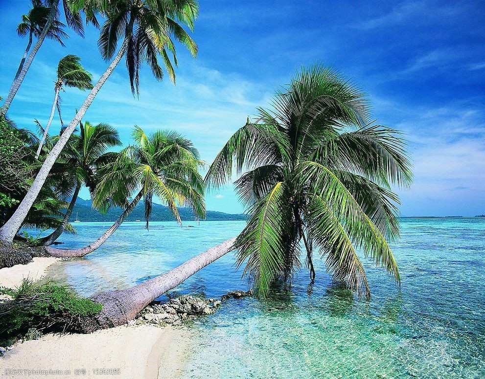 海边椰树风景图 椰树 大海 旅游摄影 自然风景 摄影图库 72dpi jpg
