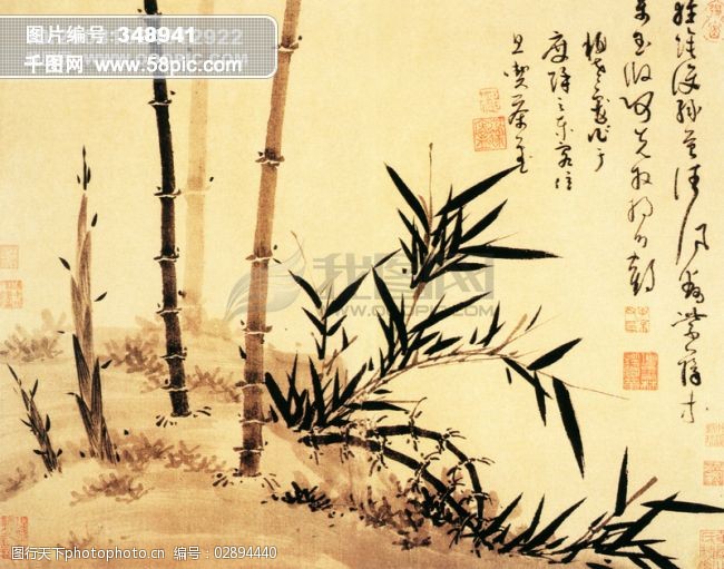 竹叶竹子中国风竹竿中华艺术绘画植物