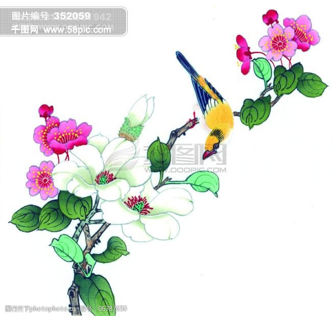 花 牡丹 芍药 桃花 喜鹊 小鸟 中国风 中华艺术绘画 图片素材 文化