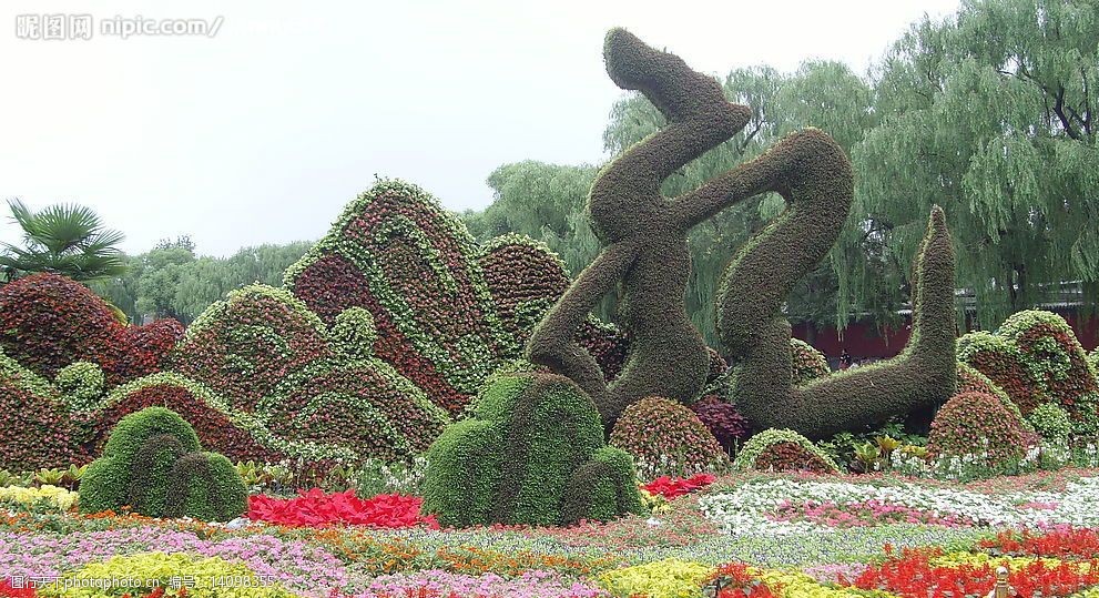 龙字花丛图片