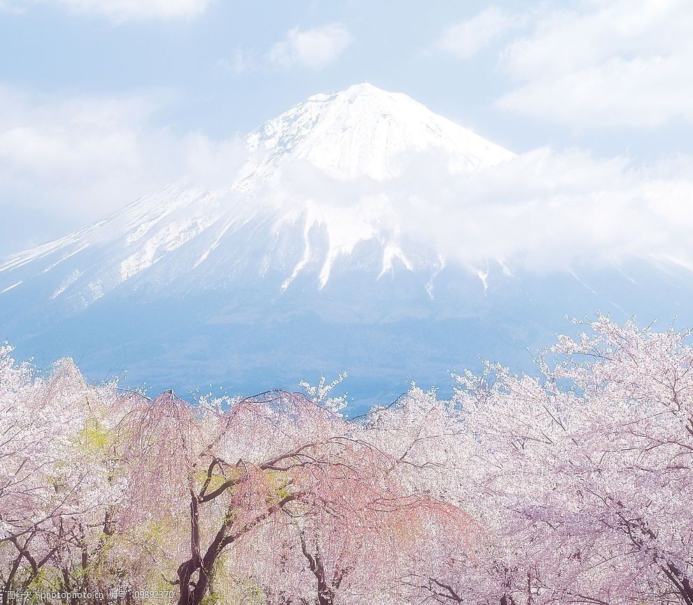 关键词:梦幻富士山 梦幻 富士山 樱花 山峰 蓝天白云 自然景观 风景