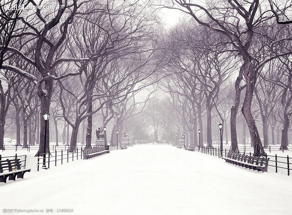 雪中的马路图片