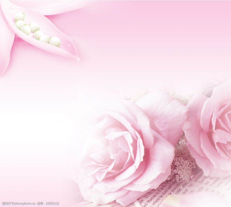 关键词:温馨背景 背景 粉色 玫瑰 温馨 浪漫 美图 psd分层素材 源文件