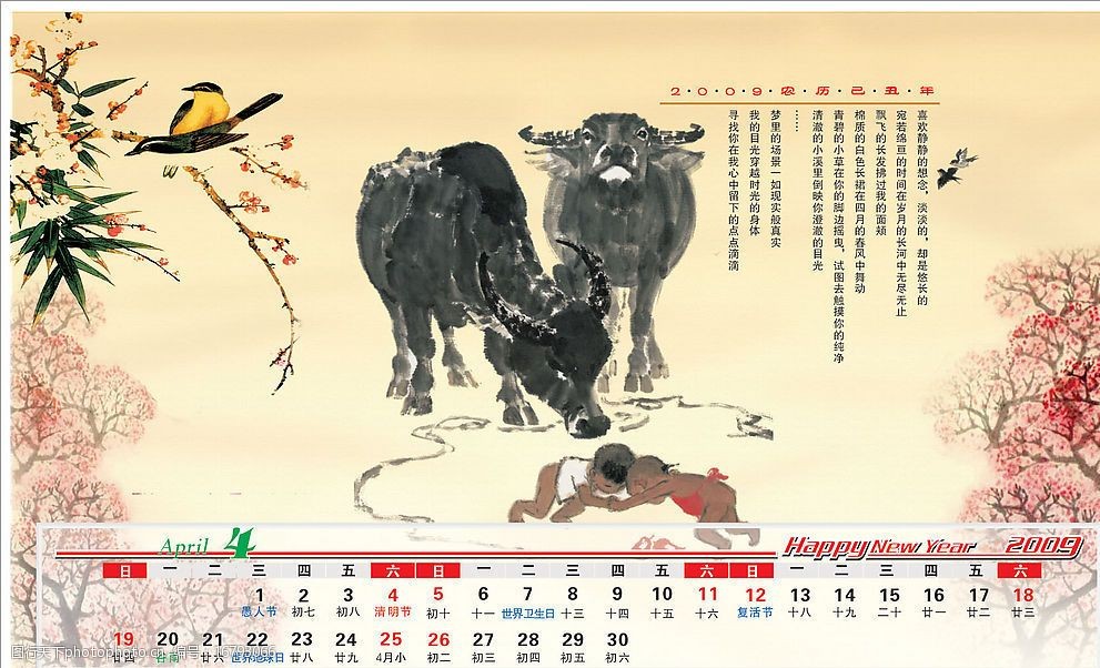 2009牛年台历图片