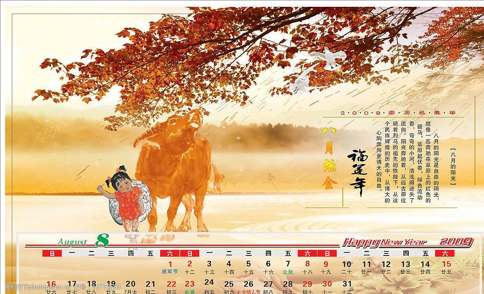2009牛年台历(8月)图片