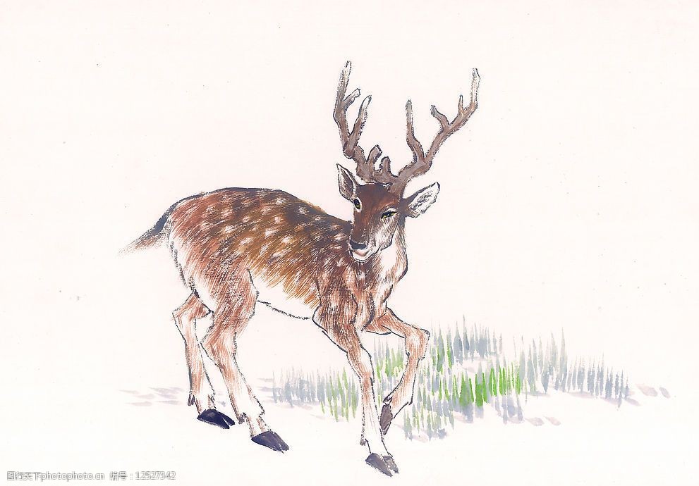 关键词:国画飞禽走兽13 动物 鹿 文化艺术 绘画书法 设计图库 72dpi