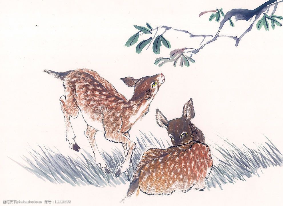 关键词:国画飞禽走兽15 动物 鹿 文化艺术 绘画书法 设计图库 72dpi