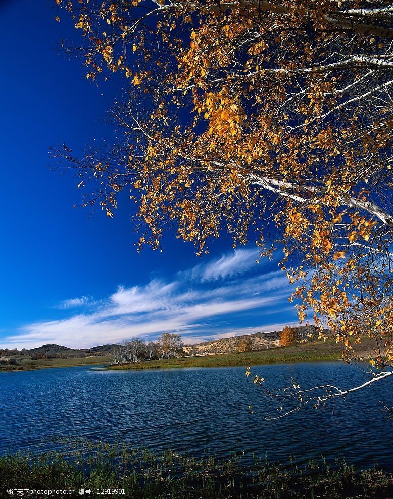 关键词:小湖风景 蓝天 白云 小湖 小树 秋天的叶子 自然景观 自然风景