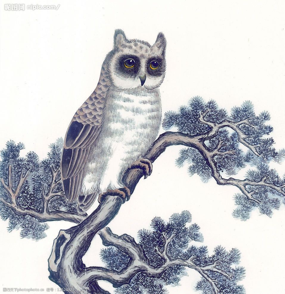 关键词:国画飞禽走兽46 动物 猫头鹰 文化艺术 绘画书法 设计图库 72