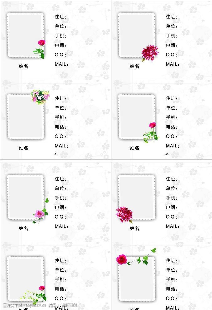 彩色通讯录内页1图片