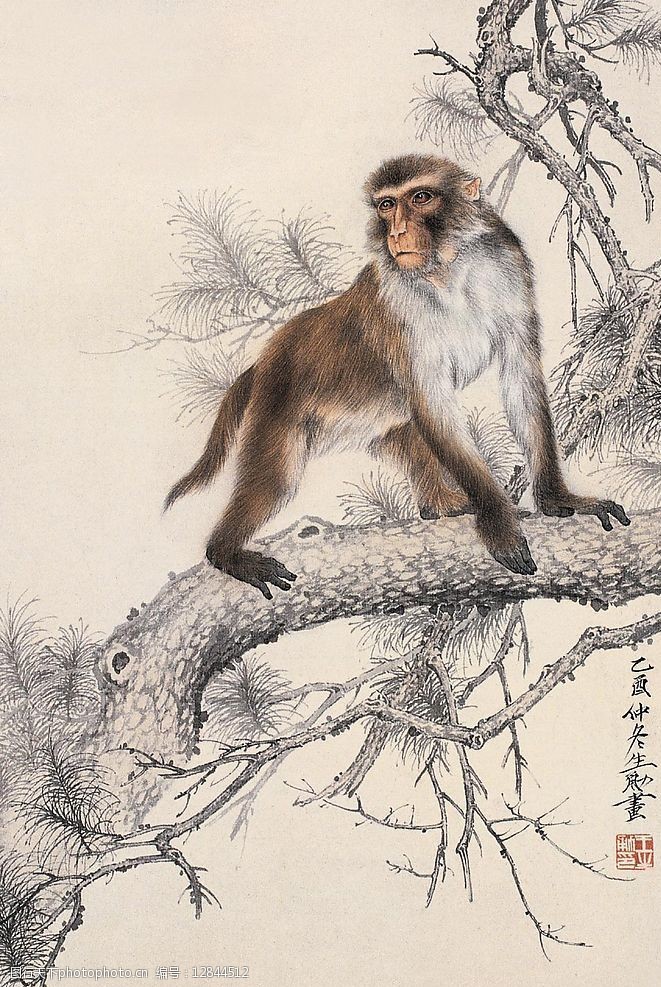 关键词:松猴图 国画 工笔 动物 文化艺术 绘画书法 设计图库 72dpi