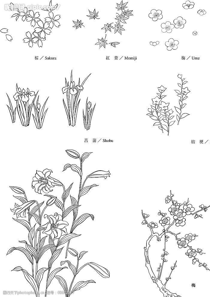 花草树木图片