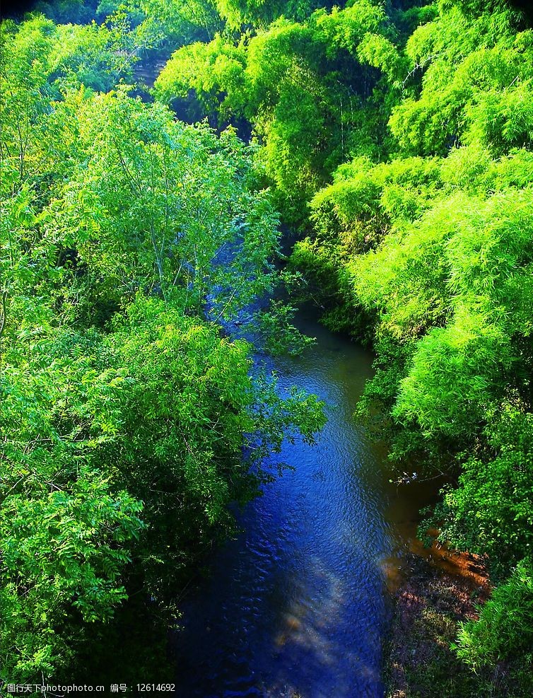 关键词:淌过翠竹的小溪 小溪 翠竹 河流 树林 阳光 自然景观 自然风景