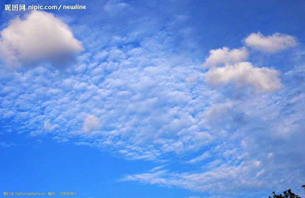 关键词:蓝天白云 大自然 景观 景象 天空 云彩 树木 树叶 蓝天 自然