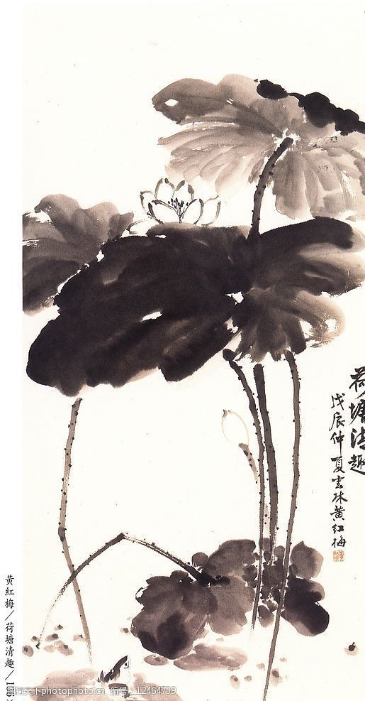 黄红梅国画荷塘清趣图片