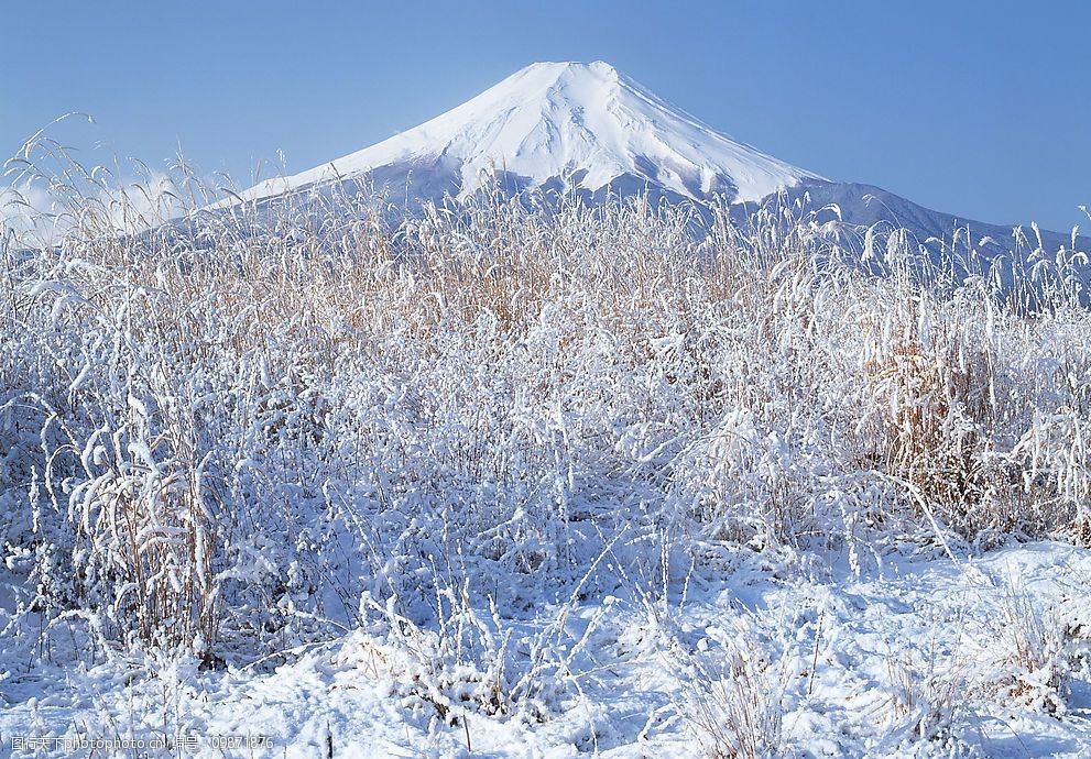 富士山雪景图片