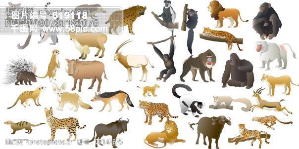 34款动物及剪影动物老虎狮子牛美洲豹猴子犀牛狼黑猩猩牦牛蹬羚