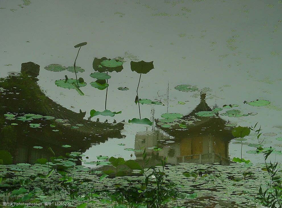 关键词:荷叶 湖水 倒影 楼阁 自然景观 自然风景 摄影图库 72dpi jpg