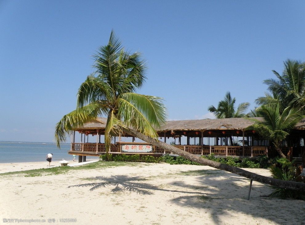 关键词:海南风光 椰树 海边 沙滩 蓝天 餐厅 草棚 阳光 自然风景 自然