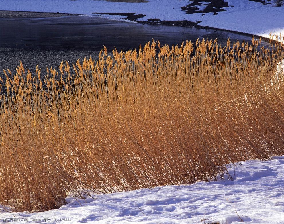 关键词:冬天的湖边 大雪 雪地 水 枯萎的草 自然风景 自然景观 摄影