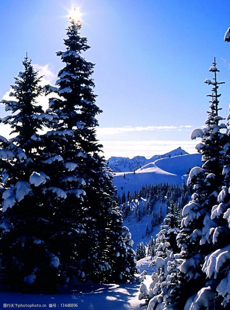 关键词:雪山上树尖太阳 松树 蓝天 自然风景 自然景观 摄影 300dpi