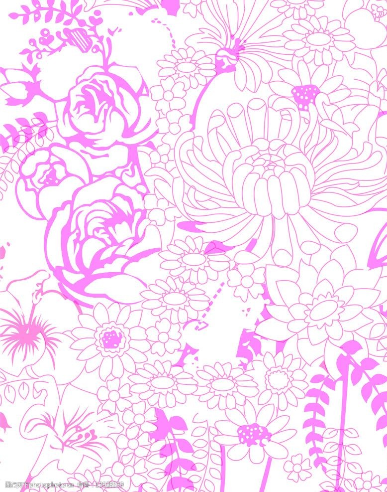 花朵底纹图片