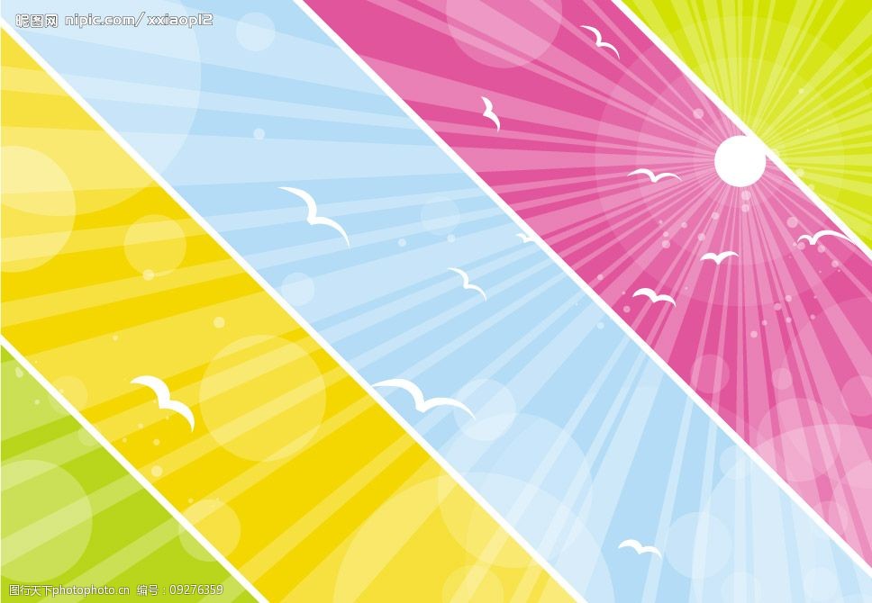 彩色阳光下的海鸥图片