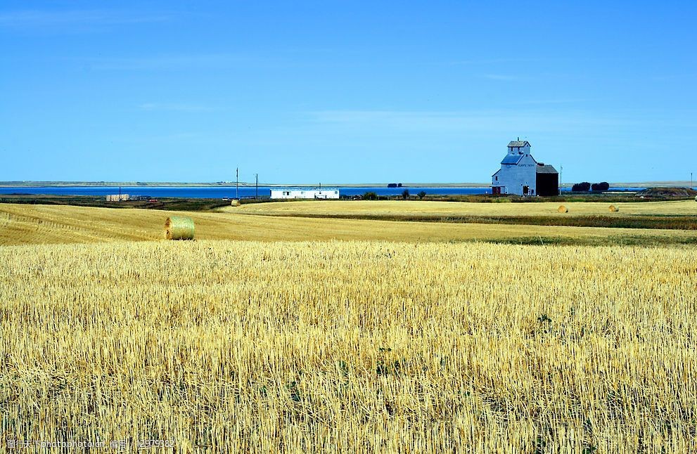 自然景观麦圈图片