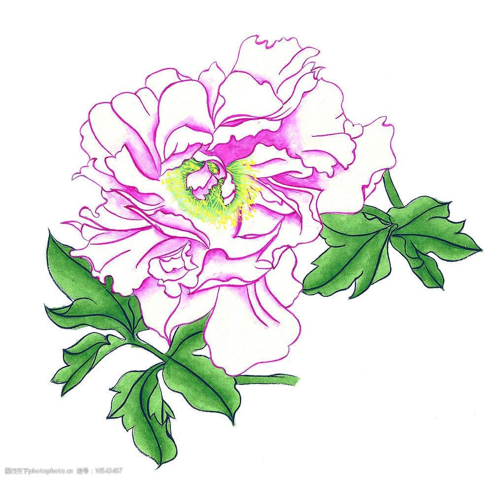 关键词:花卉 牡丹 芍药 花朵 植物 花 国画 艺术 文化艺术 传统文化