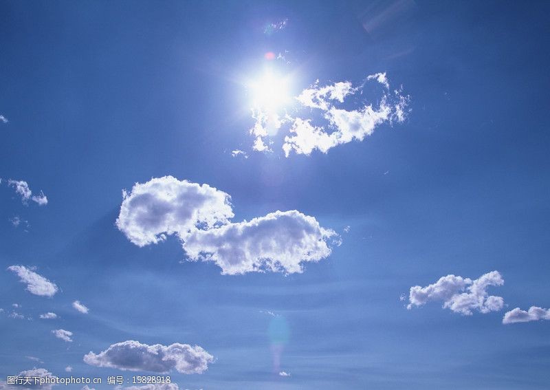 關鍵詞:鳥覽藍天白雲 自然風景