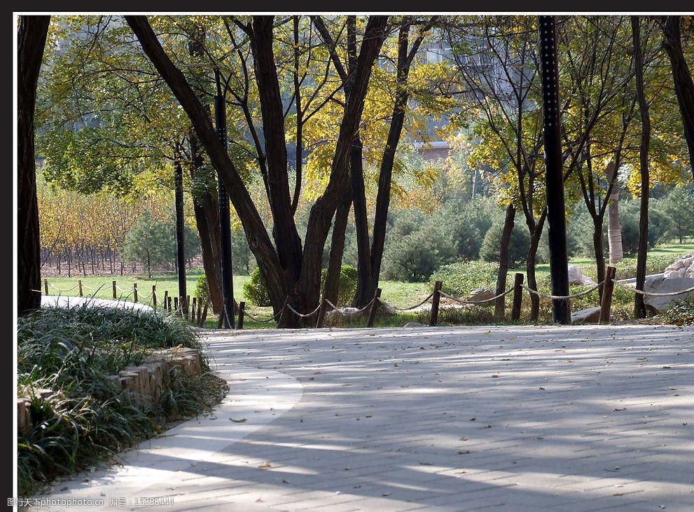 深秋公园小径 深秋 公园 小径 石路 落叶 树影 阳光 旅游摄影 自然