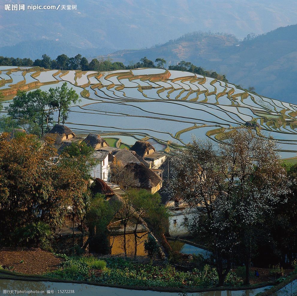 山坡上的风景图片