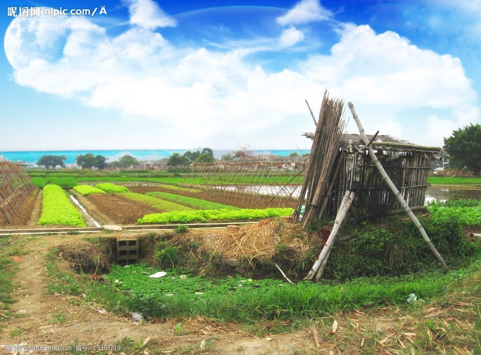 揭陽官田美景—田間茅屋圖片圖片-圖行天下圖庫