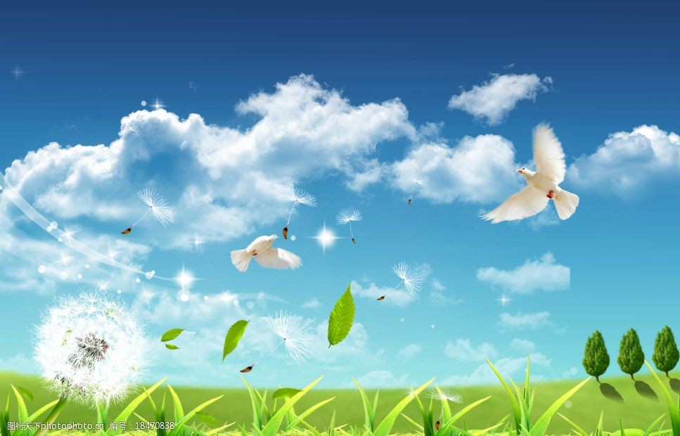 蓝天白云小草图片