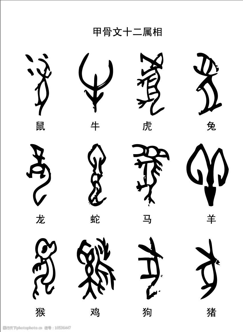 12生肖的古文字图片