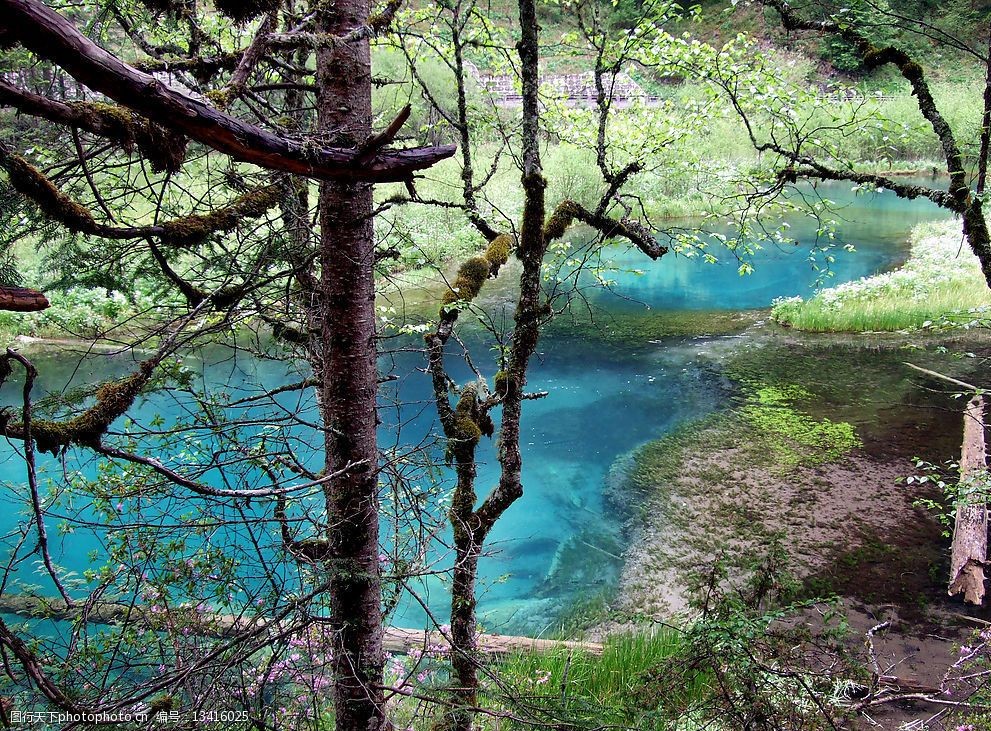 九寨沟天鹅海图片