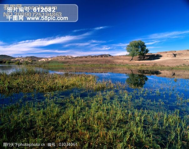 關鍵詞:樹免費下載 風景 綠色 山水風景 攝影圖 樹 植物 自然景觀 水