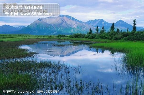 關鍵詞:樹免費下載 風景 山 山水風景 攝影圖 樹 植物 自然景觀 水