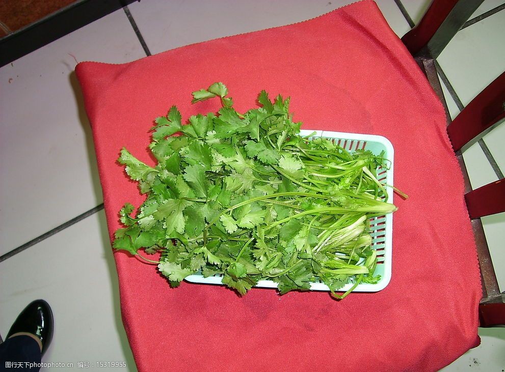 香菜火锅源料图片