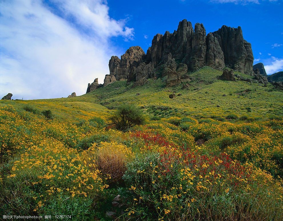 精美自然风光图片