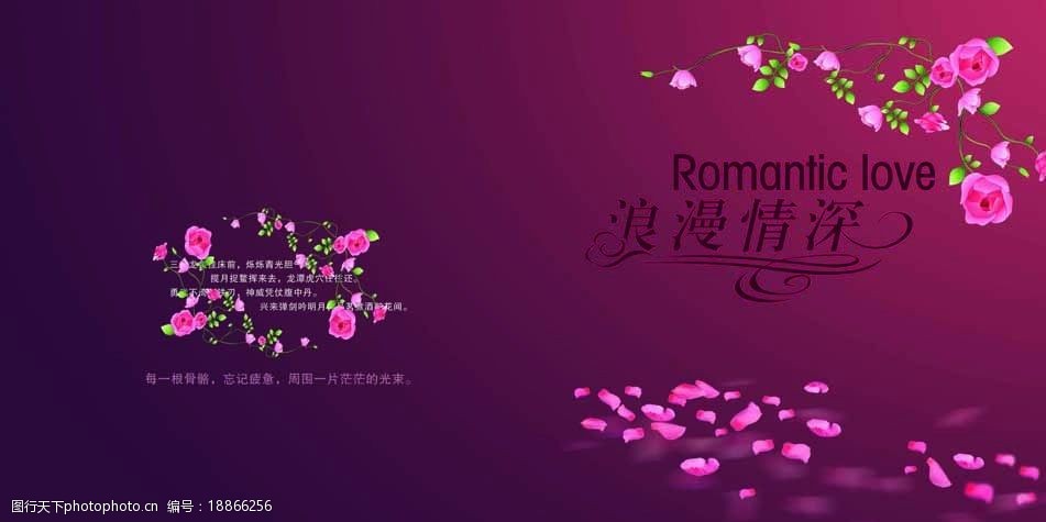 浪漫情深玫瑰花边封面封底图片