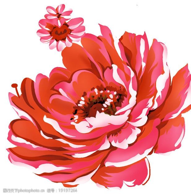 关键词:彩绘花朵 手绘 水彩 牡丹 psd分层素材 源文件 72dpi