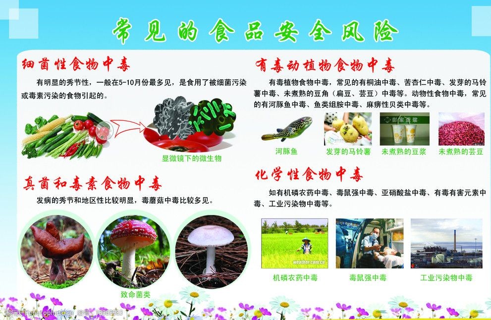 常见的食品安全风险图片