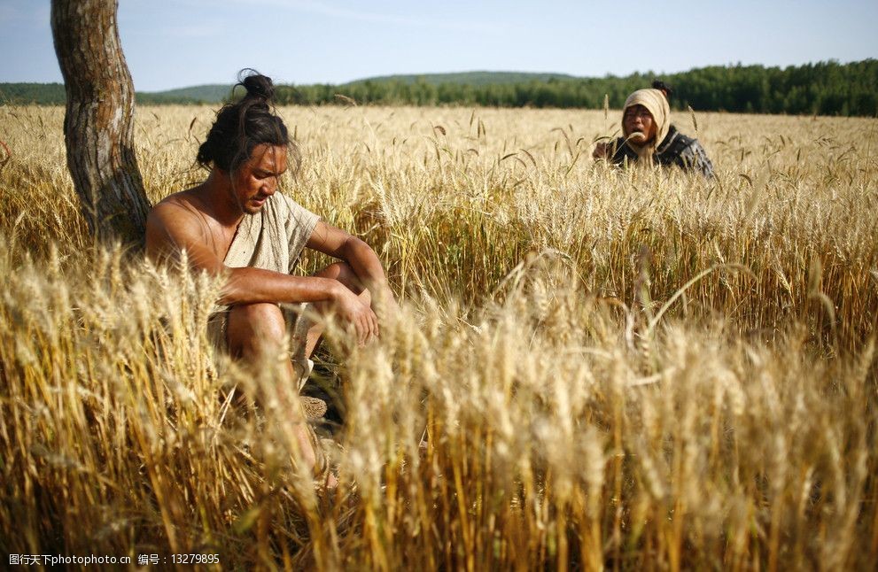 电影剧照麦田剧照图片