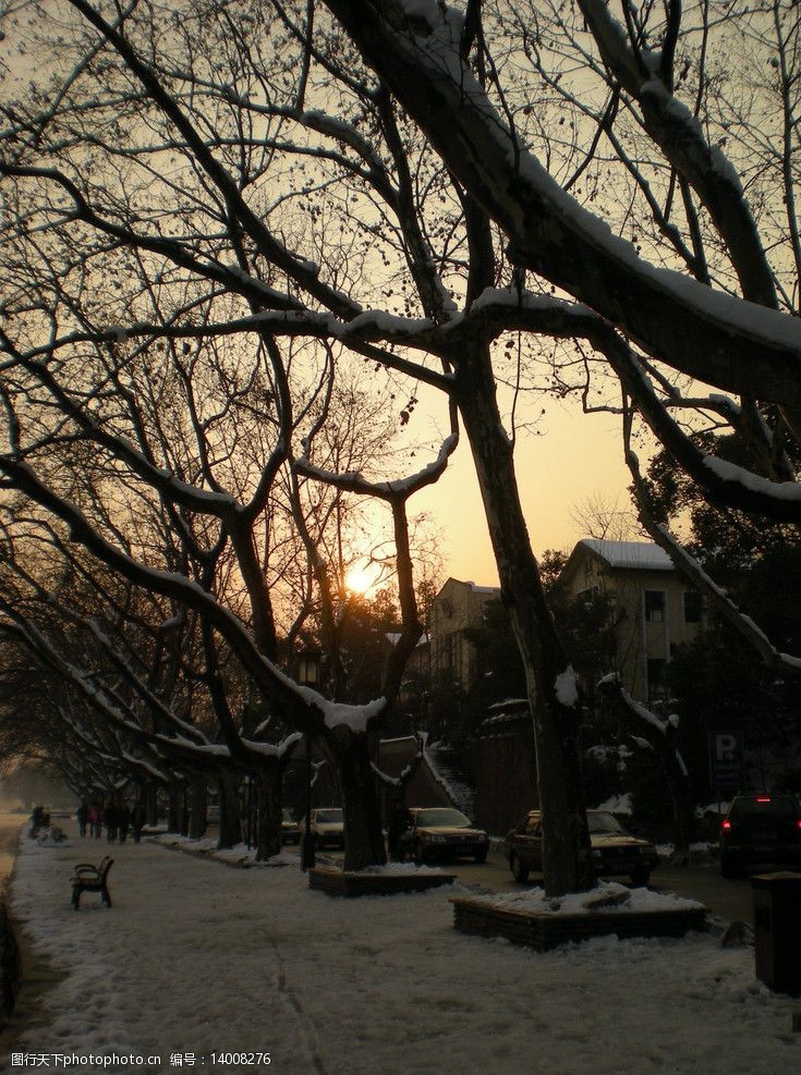 关键词:西湖黄昏 雪景 北山路 梧桐树 国内旅游 旅游摄影 300dpi jpg